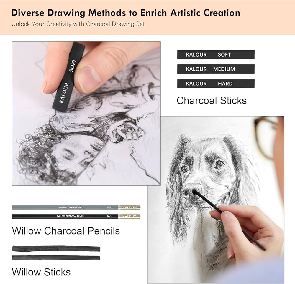 مجموعة اقلام الرسم بالفحم احترافية ٢٢ قطعة